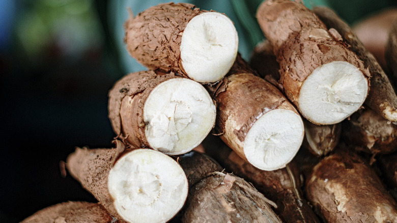Yuca root sliced into halves