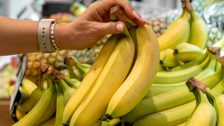 Person holding a banana bunch