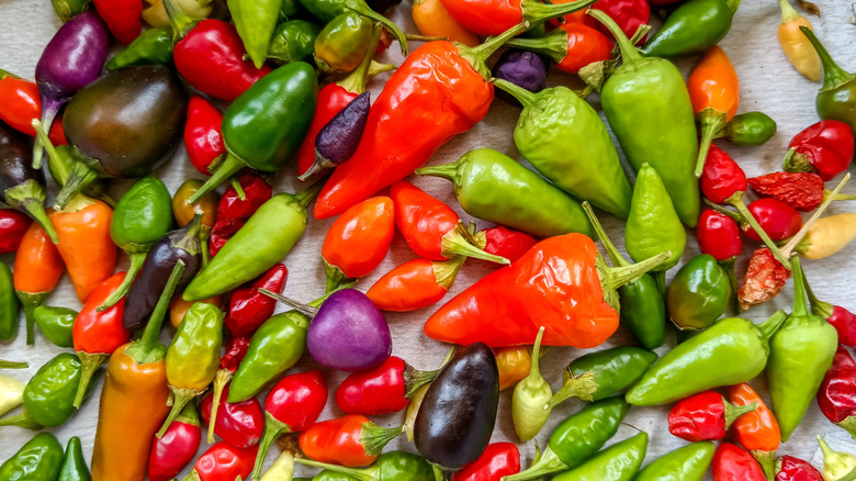 variety of hot peppers