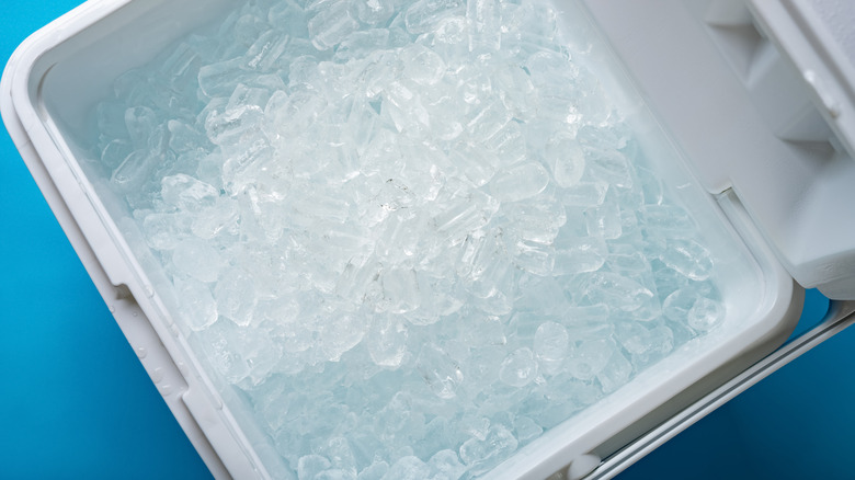 iced insulation case on a blue background