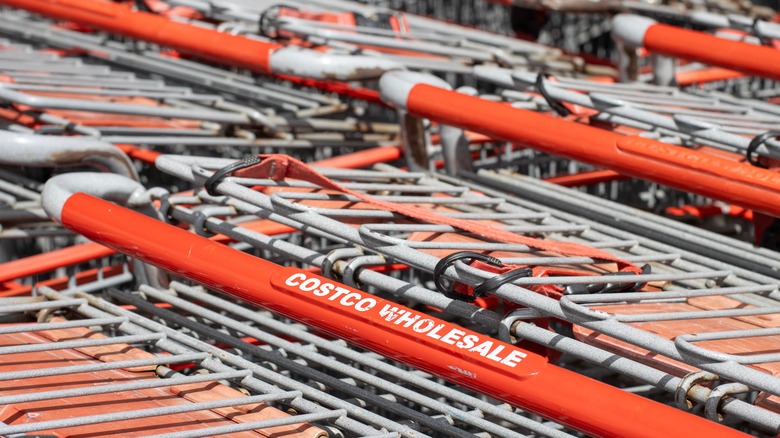 Costco shopping carts
